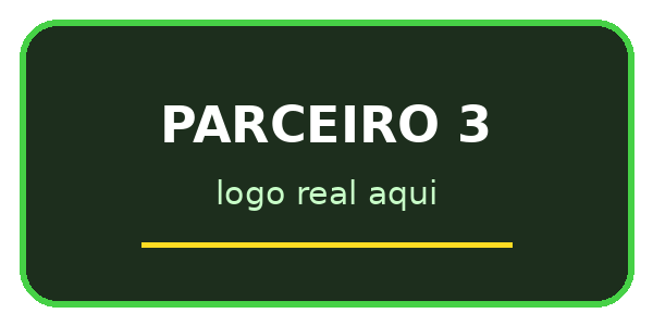 Parceiro 3